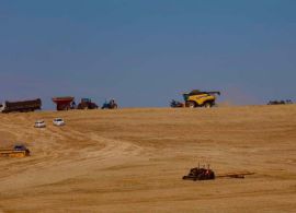Secretaria da Agricultura estima safra 22/23 em 25,7 milhões de toneladas de grãos