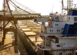 Porto de Paranaguá registra alta de 102% nas exportações pelo Corredor Leste em outubro