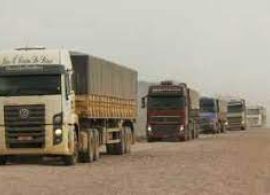 Tecnologia da informação e transporte de cargas impulsionam serviços, diz IBGE
