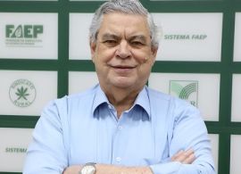 Semana que vem começa o transporte da safra e é previsto o caos na 277