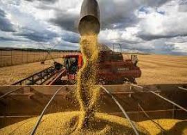 CNA prevê aumento de 2,5% do PIB do agronegócio no Brasil