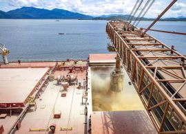 Portos do Paraná lideram exportação de soja do Brasil em janeiro