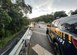 Bloqueio no km 33 da BR-277 leva caos ao setor do Transporte de Cargas 