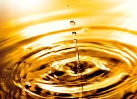 Nota conjunta de posicionamento sobre o possível aumento do teor de biodiesel no diesel