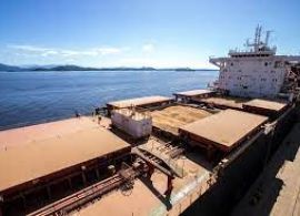 Porto de Paranaguá registra maior volume de embarque diário de 2023