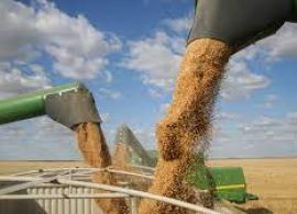 Safra 2023 alcançará recorde de 305,4 milhões de toneladas, diz IBGE; alta é de 16,1% ante 2022