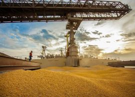 Paraná tem alta de 12,7% nas exportações