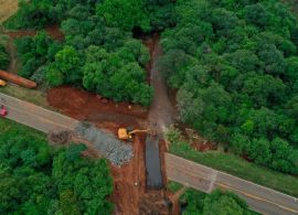 Rodovias têm ao menos oito interdições no PR; caminhoneiros devem evitar trechos