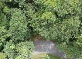 Estrada da Graciosa: áreas de risco de deslizamento serão mapeadas