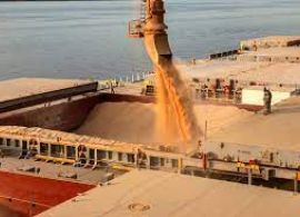 Colheita de soja 2023/2024 atinge 4,7% da área no Brasil, informa Conab