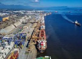 Porto de Paranaguá bate recorde de movimentação em 24 horas: 146 mil toneladas