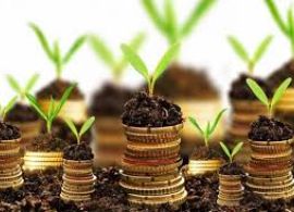Taxa de Controle e Fiscalização Ambiental (TCFA)