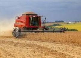 Com colheita antecipada, venda da soja cresce 53% no Paraná