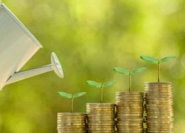 ESG pode trazer retorno financeiro para as empresas