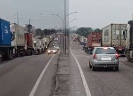 Caminhoneiros relatam filas de 15 km no Porto de Paranaguá