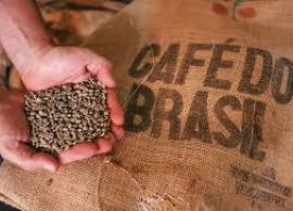 Exportação de café tem maior desempenho em 12 anos
