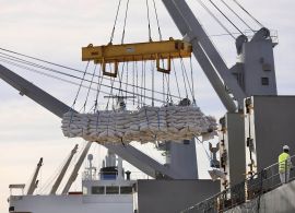 Exportações do Paraná somam US$ 15,9 bilhões nos oito primeiros meses de 2024