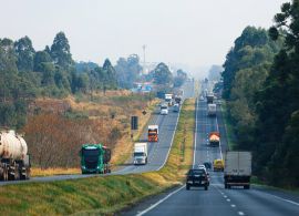IPVA 2025: contribuintes já podem emitir as guias de pagamento no Paraná