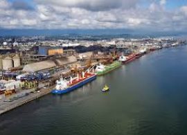 Porto de Paranaguá movimenta mais de 66 milhões de toneladas de cargas em 2024