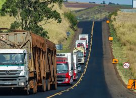 Governo aposta em 12 novas concessões rodoviárias com leilões do Paraná em setembro