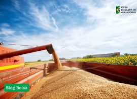 Safra de grãos está estimada em 325,7 milhões de toneladas no ciclo 2024/25