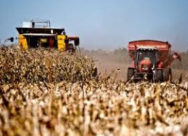 Ampliação de portos no Paraná deve impactar diretamente o Transporte Rodoviário de Cargas