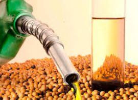 Governo decide manter percentual de biodiesel no diesel em 14% para conter alta dos alimentos