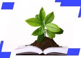 Capacita Paraná oferece cursos gratuitos sobre ESG e sustentabilidade