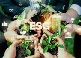 Saiba como a Lei do Paten pode beneficiar o ESG na sua transportadora