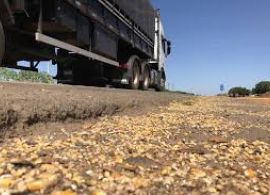 Transporte de grãos encarece com demanda e diesel alto
