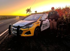 Maio amarelo: campanha de trânsito no Paraná mira excesso de velocidade