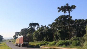 CCR PRVias inicia operação assistida nas praças de pedágio nesta quarta (18)