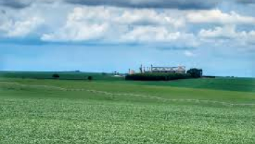 Com R$ 261 milhões em investimentos, Paraná espera ampliar o setor agrícola