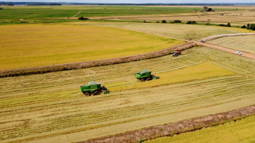 Paraná prevê safra recorde de grãos