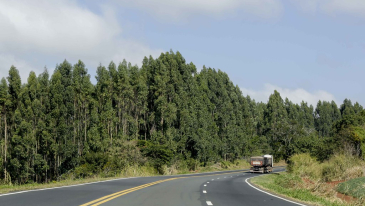 Radares geram redução no número de acidentes nas rodovias estaduais sob concessão da EPR Litoral Pioneiro