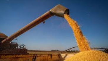 Safra brasileira de grãos 2025/2026 deve ter déficit de armazenamento