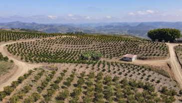 Painel concentra dados de economia e agronegócio do Paraná