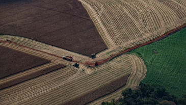 PIB do Paran&aacute; cresce 22% acima da m&eacute;dia nacional em 2025