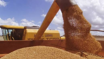 IBGE estima safra de gr&atilde;os recorde em 2026: 354,5 milh&otilde;es de toneladas